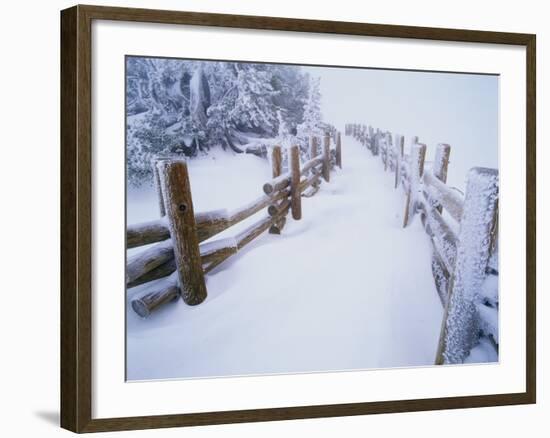 Snow-covered Path in Crater Lake National Park-Steve Terrill-Framed Photographic Print