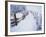 Snow-covered Path in Crater Lake National Park-Steve Terrill-Framed Photographic Print