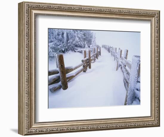 Snow-covered Path in Crater Lake National Park-Steve Terrill-Framed Photographic Print