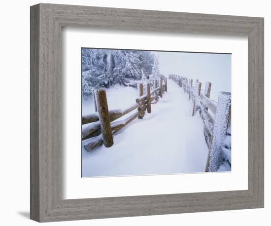 Snow-covered Path in Crater Lake National Park-Steve Terrill-Framed Photographic Print