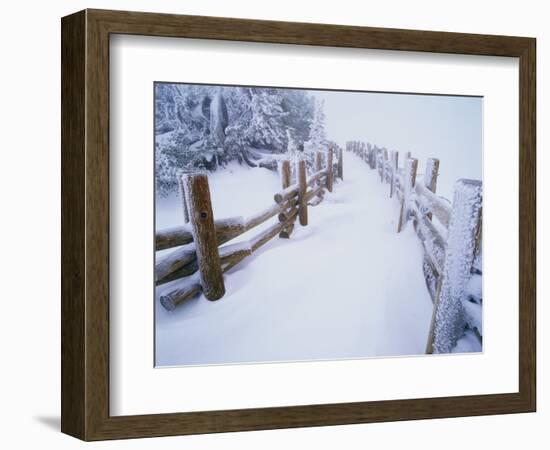 Snow-covered Path in Crater Lake National Park-Steve Terrill-Framed Photographic Print