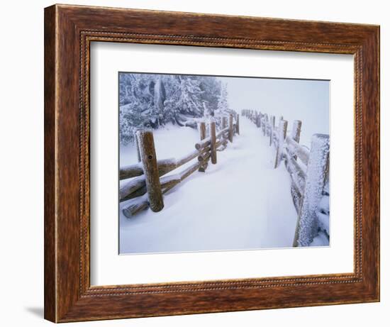 Snow-covered Path in Crater Lake National Park-Steve Terrill-Framed Photographic Print