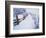 Snow-covered Path in Crater Lake National Park-Steve Terrill-Framed Photographic Print