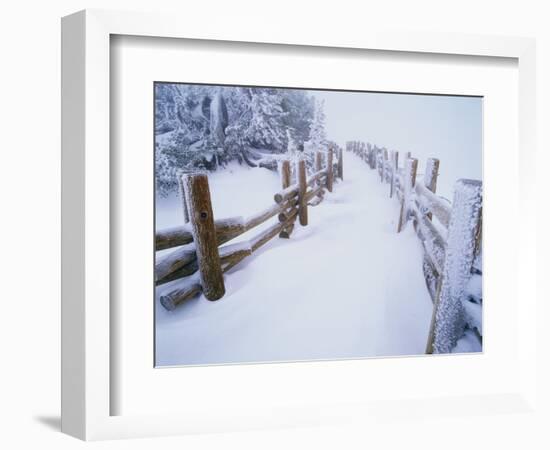 Snow-covered Path in Crater Lake National Park-Steve Terrill-Framed Photographic Print