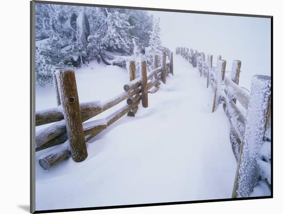 Snow-covered Path in Crater Lake National Park-Steve Terrill-Mounted Photographic Print