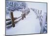 Snow-covered Path in Crater Lake National Park-Steve Terrill-Mounted Photographic Print