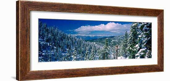 Snow Covered Pine Trees in a Forest with a Lake in the Background, Lake Tahoe, California, USA-null-Framed Photographic Print