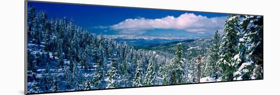 Snow Covered Pine Trees in a Forest with a Lake in the Background, Lake Tahoe, California, USA-null-Mounted Photographic Print