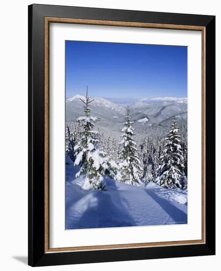 Snow Covered Pines in the Demanovska Valley, Low Tatra Mountains, Slovakia, Europe-Richard Nebesky-Framed Photographic Print