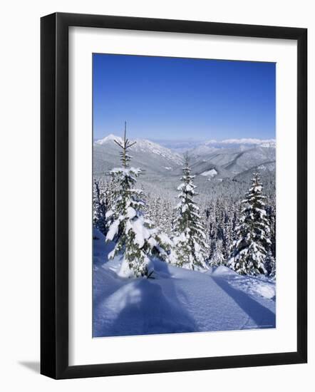 Snow Covered Pines in the Demanovska Valley, Low Tatra Mountains, Slovakia, Europe-Richard Nebesky-Framed Photographic Print