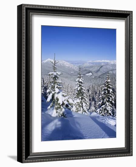 Snow Covered Pines in the Demanovska Valley, Low Tatra Mountains, Slovakia, Europe-Richard Nebesky-Framed Photographic Print