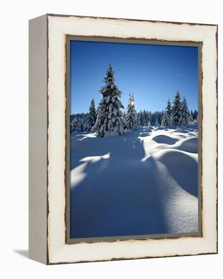 Snow-Covered Pristine Winter Landscape in the Harz National Park, Near Schierke, Germany-Andreas Vitting-Framed Premier Image Canvas