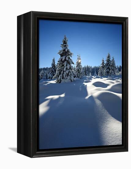 Snow-Covered Pristine Winter Landscape in the Harz National Park, Near Schierke, Germany-Andreas Vitting-Framed Premier Image Canvas
