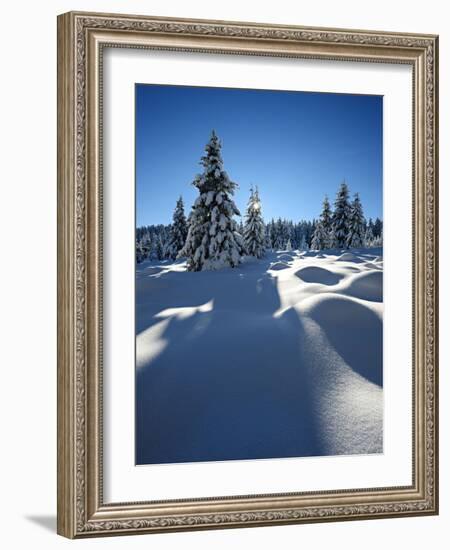 Snow-Covered Pristine Winter Landscape in the Harz National Park, Near Schierke, Germany-Andreas Vitting-Framed Photographic Print