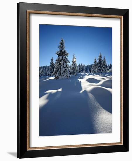 Snow-Covered Pristine Winter Landscape in the Harz National Park, Near Schierke, Germany-Andreas Vitting-Framed Photographic Print