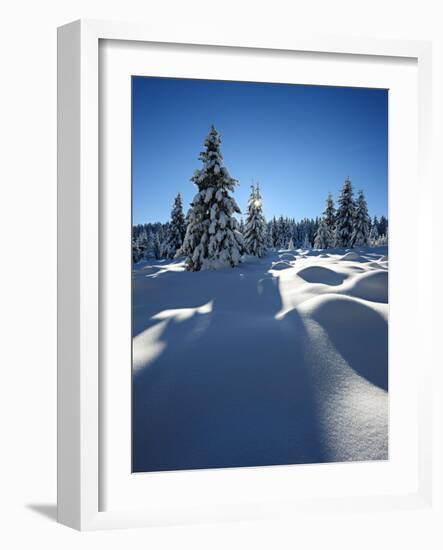 Snow-Covered Pristine Winter Landscape in the Harz National Park, Near Schierke, Germany-Andreas Vitting-Framed Photographic Print