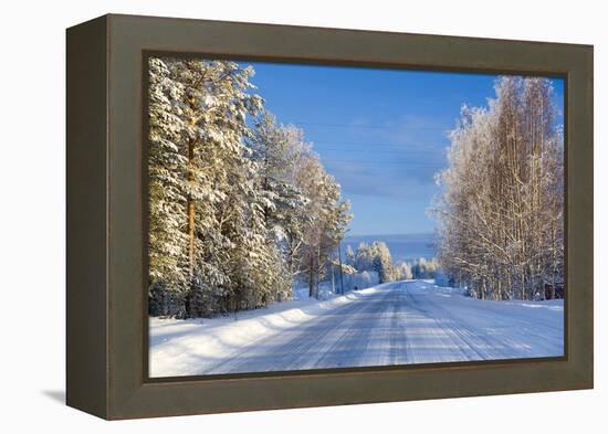 Snow Covered Road, Near Lulea, Northern Sweden-Peter Adams-Framed Premier Image Canvas
