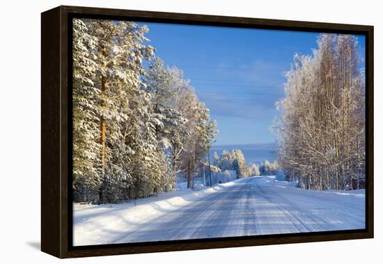 Snow Covered Road, Near Lulea, Northern Sweden-Peter Adams-Framed Premier Image Canvas