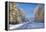 Snow Covered Road, Near Lulea, Northern Sweden-Peter Adams-Framed Premier Image Canvas