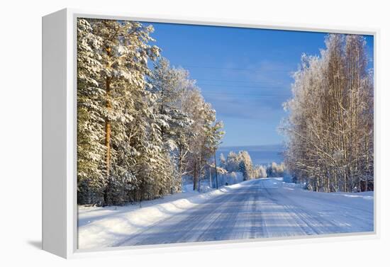 Snow Covered Road, Near Lulea, Northern Sweden-Peter Adams-Framed Premier Image Canvas