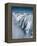 Snow-Covered Rugged Mountain Ridges-Lowell Georgia-Framed Premier Image Canvas