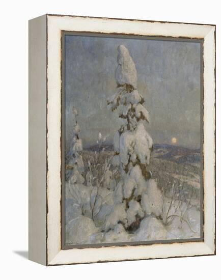 Snow Covered Spruce in Moonlight-Thorolf Holmboe-Framed Premier Image Canvas