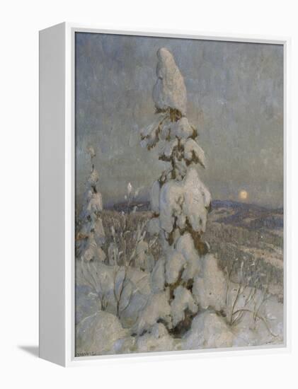 Snow Covered Spruce in Moonlight-Thorolf Holmboe-Framed Premier Image Canvas