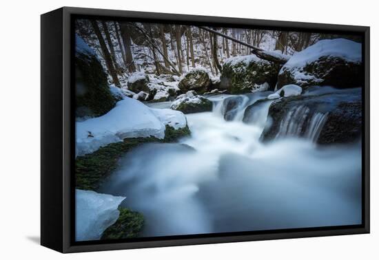 Snow-Covered Stream Course in Winter Scenery, Triebtal, Vogtland, Saxony, Germany-Falk Hermann-Framed Premier Image Canvas