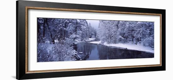 Snow Covered Trees Along a River, Yosemite National Park, California, USA-null-Framed Photographic Print