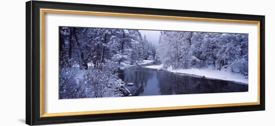 Snow Covered Trees Along a River, Yosemite National Park, California, USA-null-Framed Photographic Print