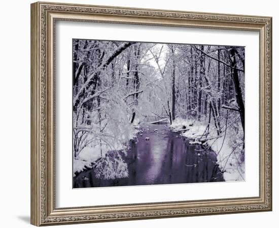 Snow Covered Trees along Creek in Winter Landscape-Jan Lakey-Framed Photographic Print