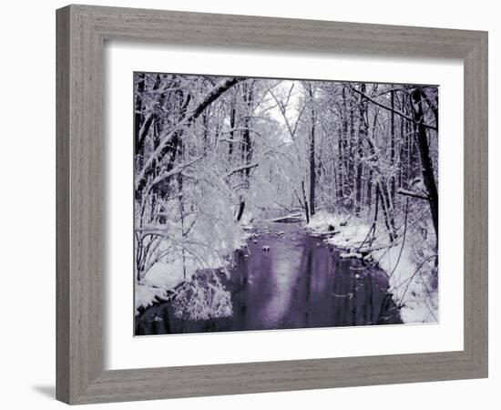 Snow Covered Trees along Creek in Winter Landscape-Jan Lakey-Framed Photographic Print