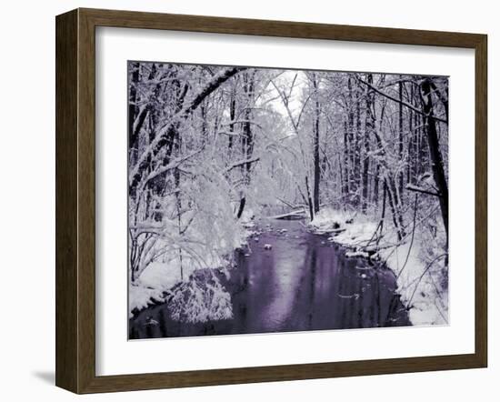 Snow Covered Trees along Creek in Winter Landscape-Jan Lakey-Framed Photographic Print