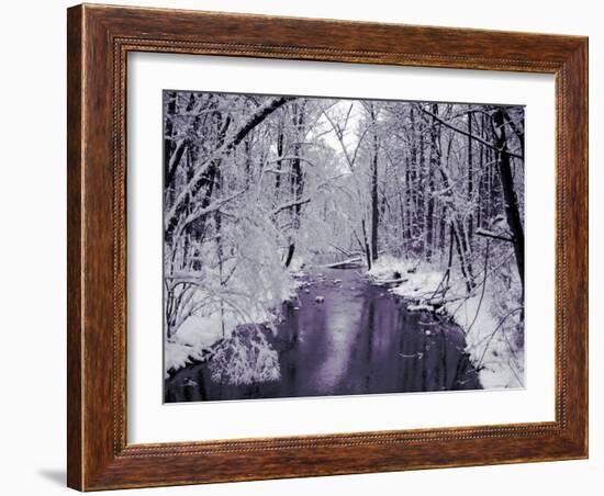 Snow Covered Trees along Creek in Winter Landscape-Jan Lakey-Framed Photographic Print