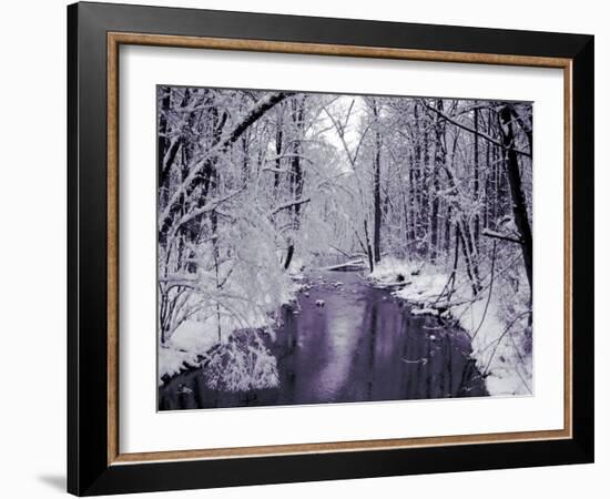 Snow Covered Trees along Creek in Winter Landscape-Jan Lakey-Framed Photographic Print