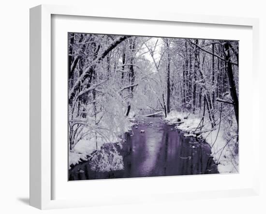 Snow Covered Trees along Creek in Winter Landscape-Jan Lakey-Framed Photographic Print