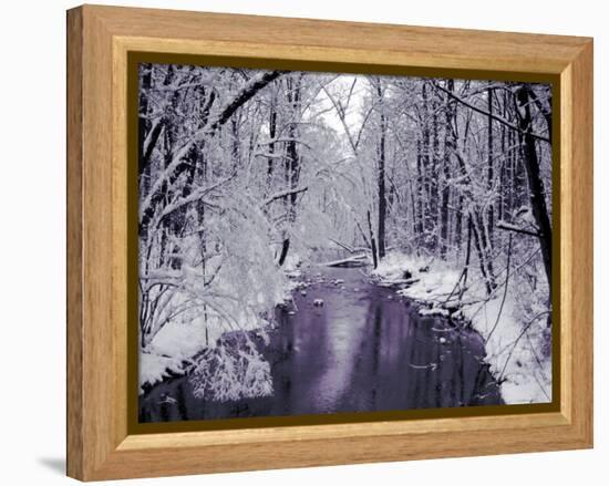 Snow Covered Trees along Creek in Winter Landscape-Jan Lakey-Framed Premier Image Canvas