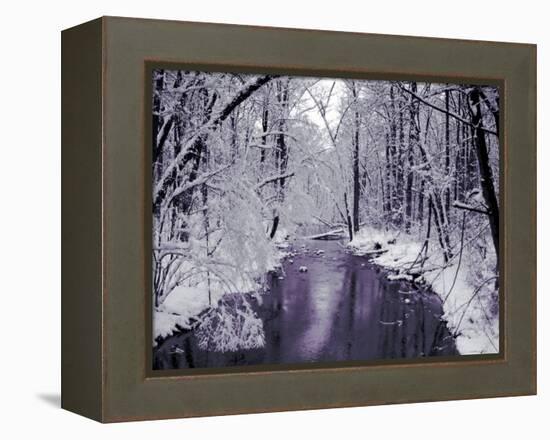 Snow Covered Trees along Creek in Winter Landscape-Jan Lakey-Framed Premier Image Canvas