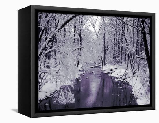 Snow Covered Trees along Creek in Winter Landscape-Jan Lakey-Framed Premier Image Canvas