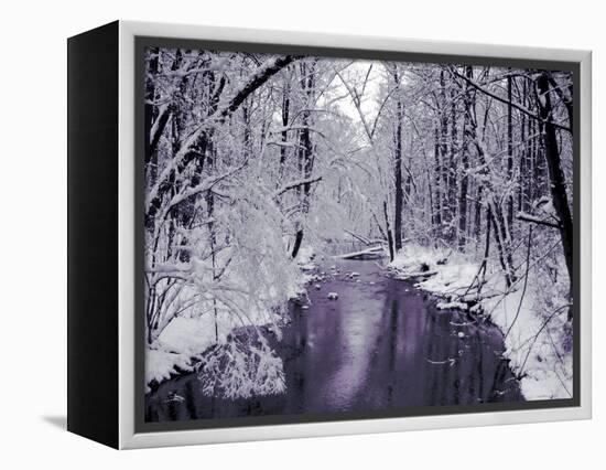 Snow Covered Trees along Creek in Winter Landscape-Jan Lakey-Framed Premier Image Canvas