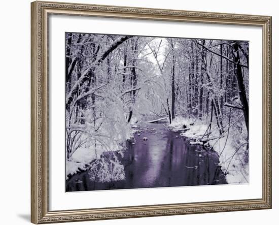 Snow Covered Trees along Creek in Winter Landscape-Jan Lakey-Framed Photographic Print