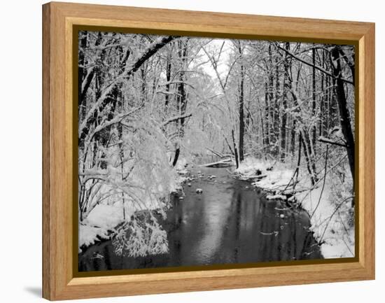 Snow Covered Trees along Creek in Winter Landscape-Jan Lakey-Framed Premier Image Canvas