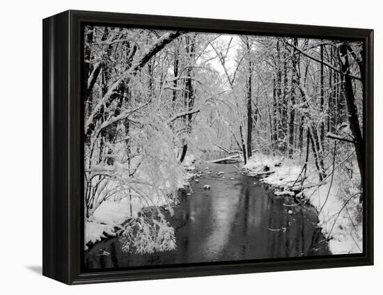 Snow Covered Trees along Creek in Winter Landscape-Jan Lakey-Framed Premier Image Canvas