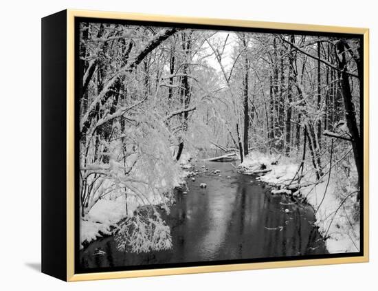 Snow Covered Trees along Creek in Winter Landscape-Jan Lakey-Framed Premier Image Canvas