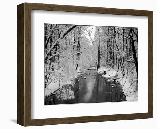 Snow Covered Trees along Creek in Winter Landscape-Jan Lakey-Framed Photographic Print