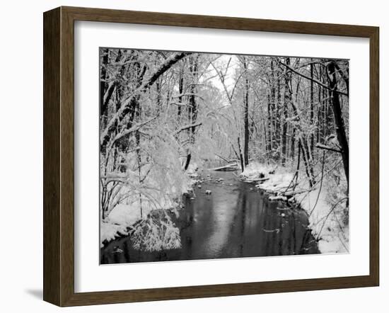 Snow Covered Trees along Creek in Winter Landscape-Jan Lakey-Framed Photographic Print