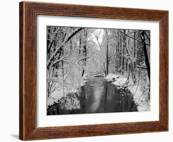 Snow Covered Trees along Creek in Winter Landscape-Jan Lakey-Framed Photographic Print