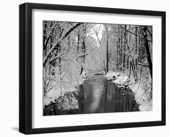 Snow Covered Trees along Creek in Winter Landscape-Jan Lakey-Framed Photographic Print