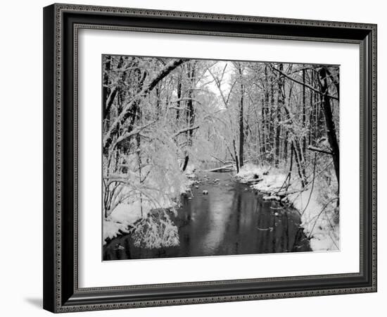 Snow Covered Trees along Creek in Winter Landscape-Jan Lakey-Framed Photographic Print