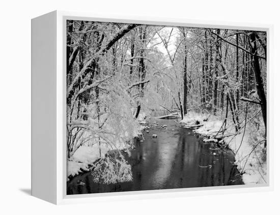 Snow Covered Trees along Creek in Winter Landscape-Jan Lakey-Framed Premier Image Canvas